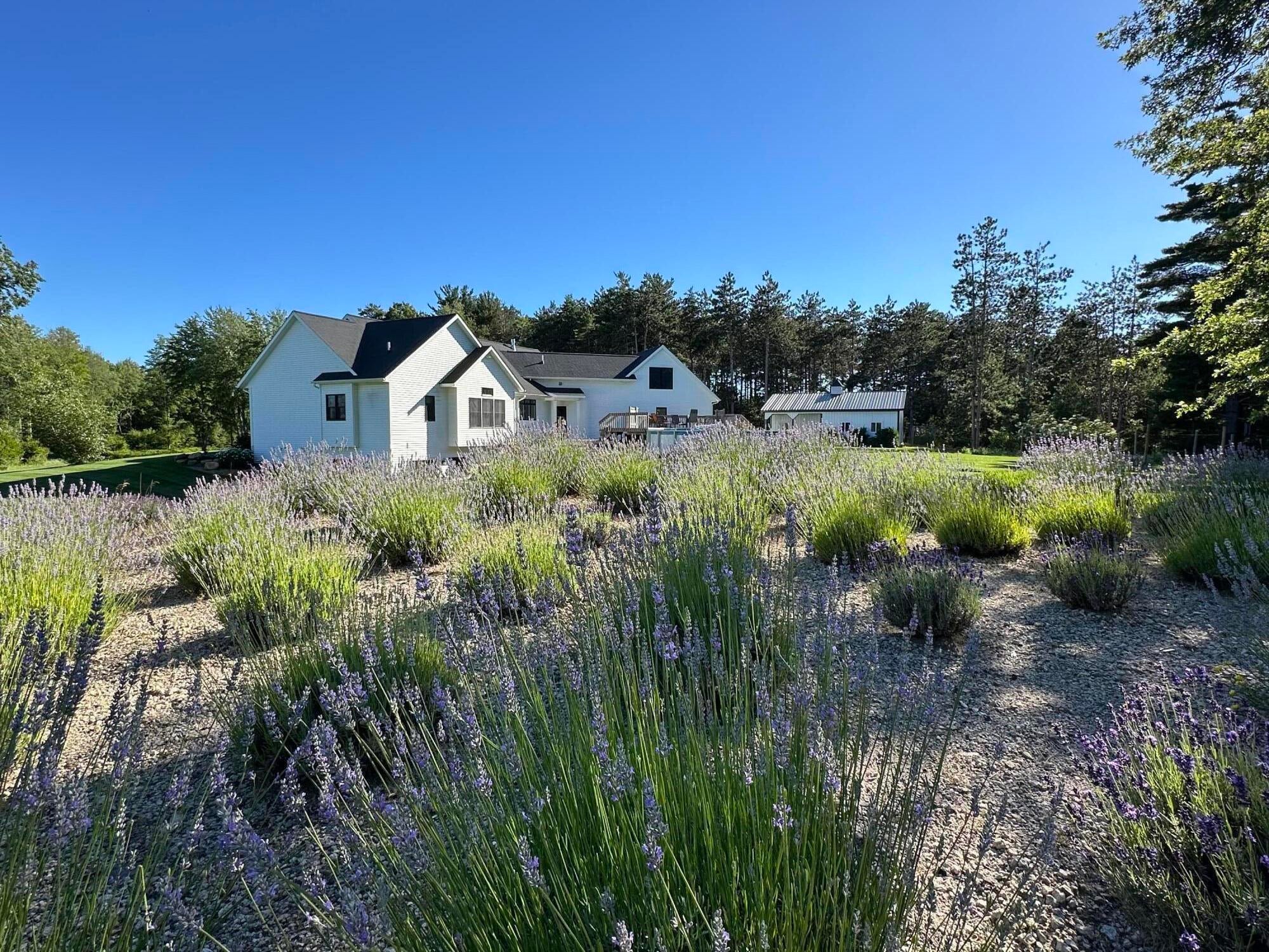 West Olive, Michigan, 49460, United States, 4 Bedrooms Bedrooms, ,4 BathroomsBathrooms,Residential,Active,2001073