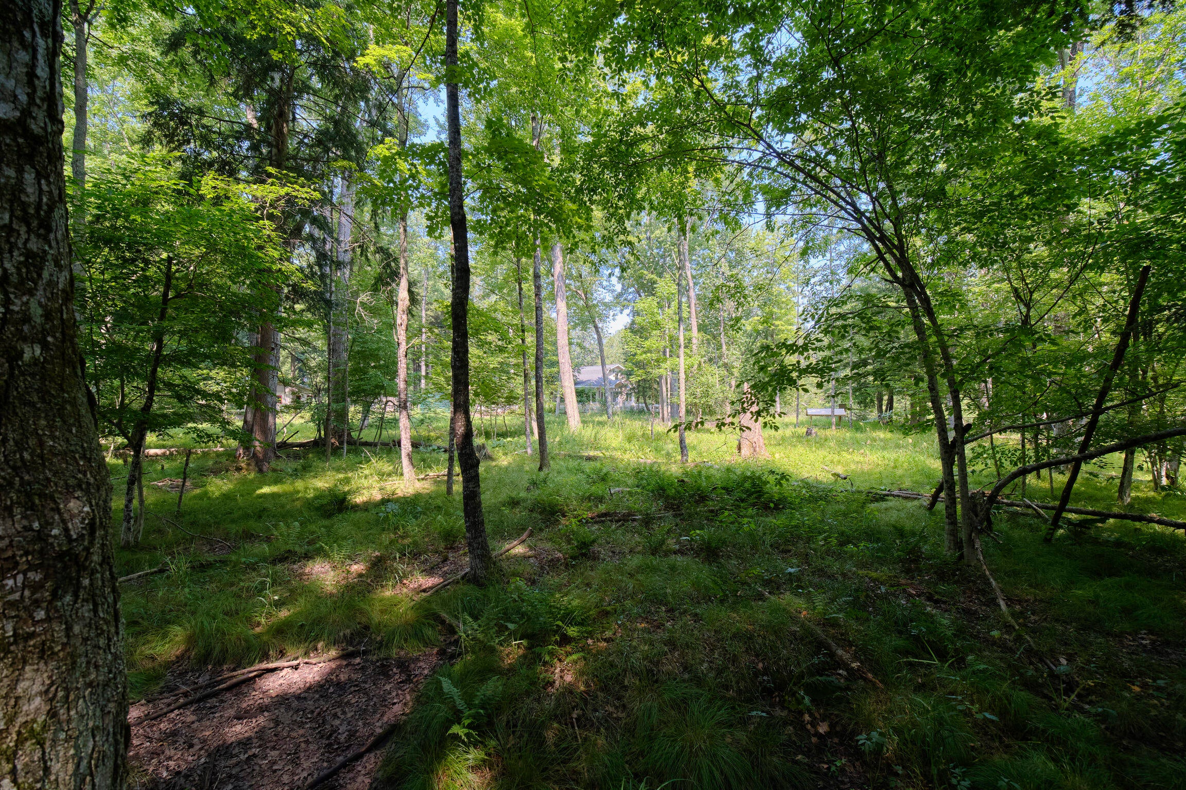 Manistee, Michigan, 49660, United States, 4 Bedrooms Bedrooms, ,4 BathroomsBathrooms,Residential,Active,1913051