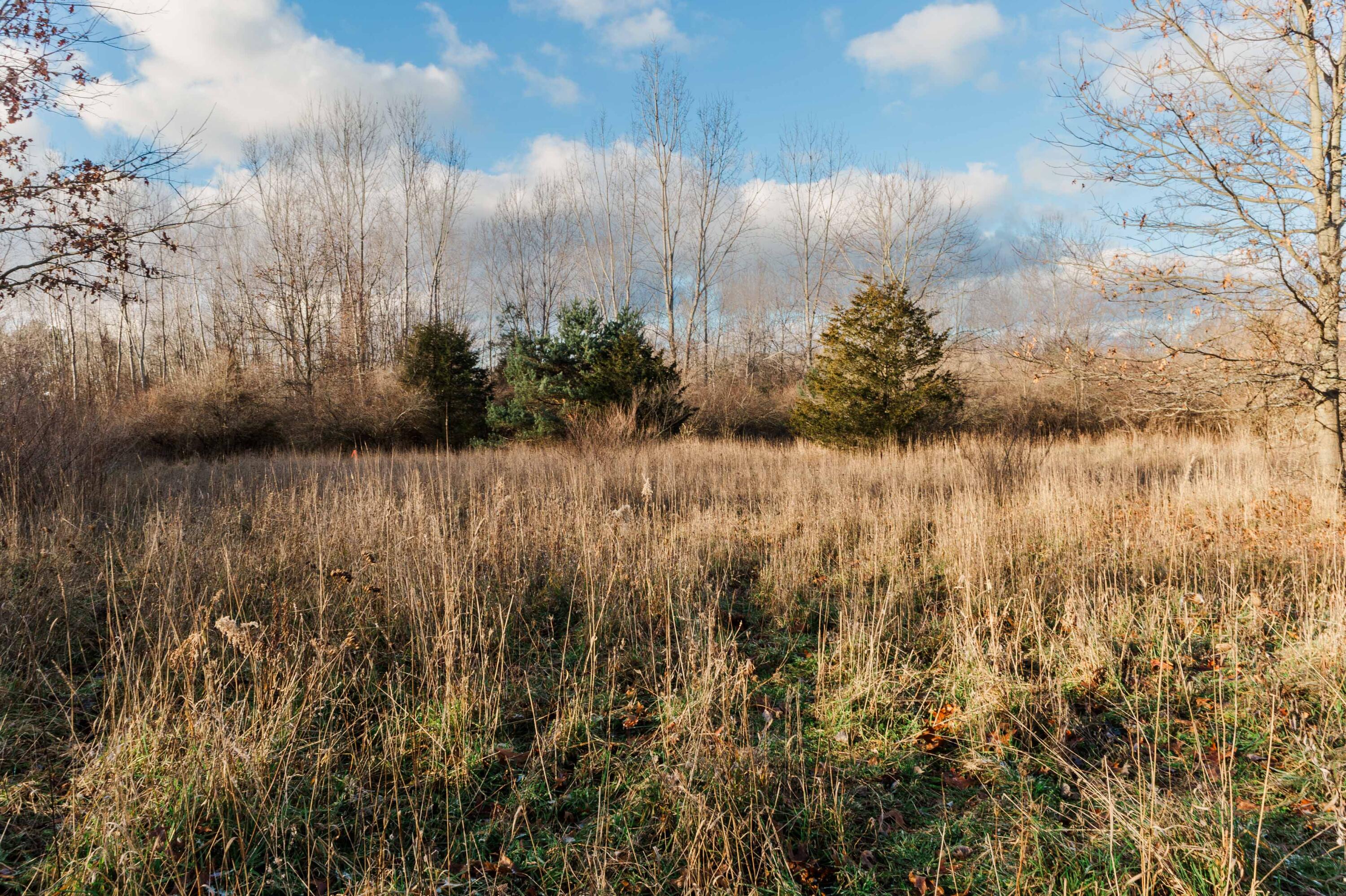 Saugatuck, Michigan, 49453, United States, ,5 BathroomsBathrooms,Residential,Pending,1769548