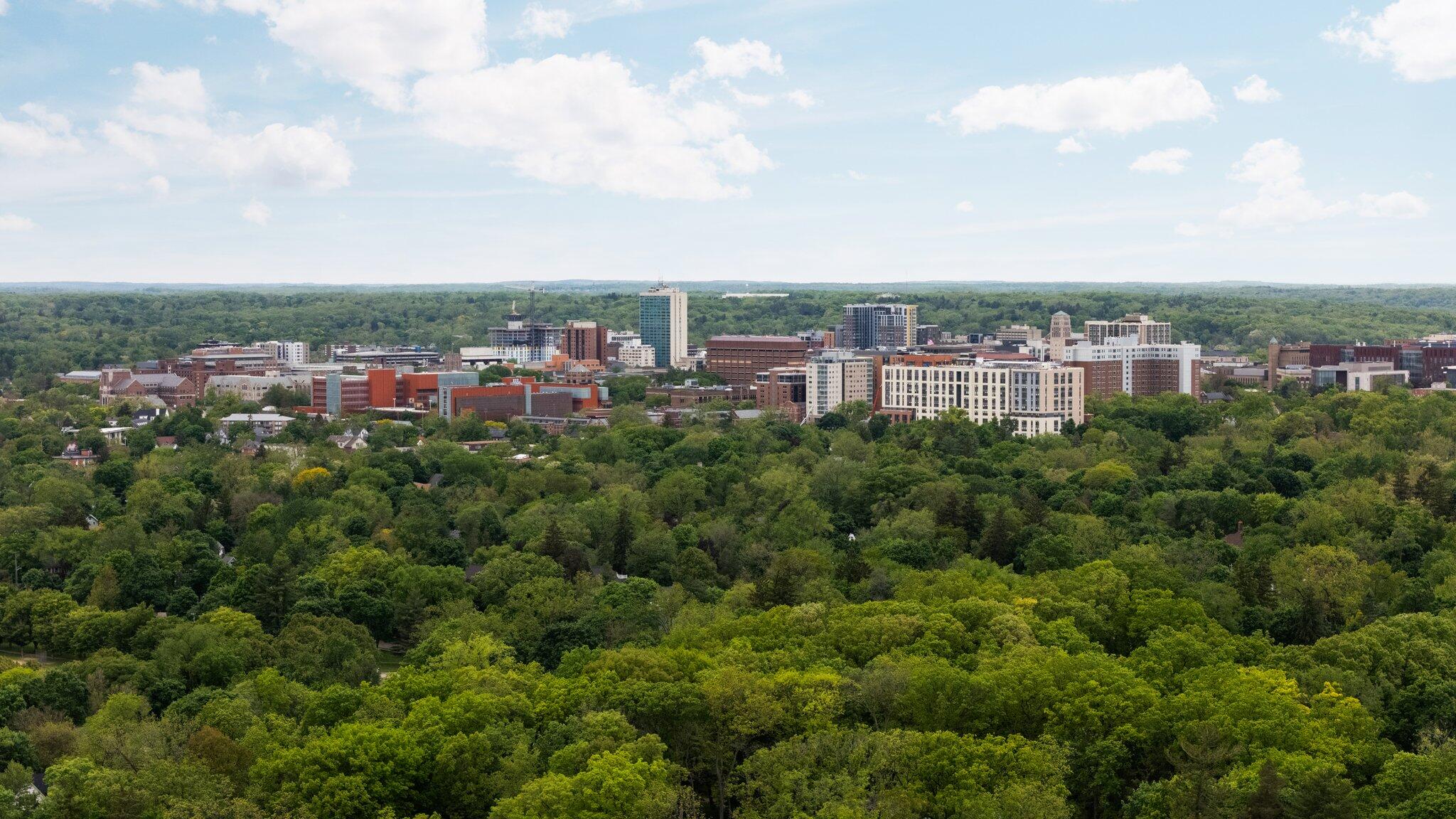 Ann Arbor, Michigan, 48104, United States, 4 Bedrooms Bedrooms, ,4 BathroomsBathrooms,Residential,Active,1831800