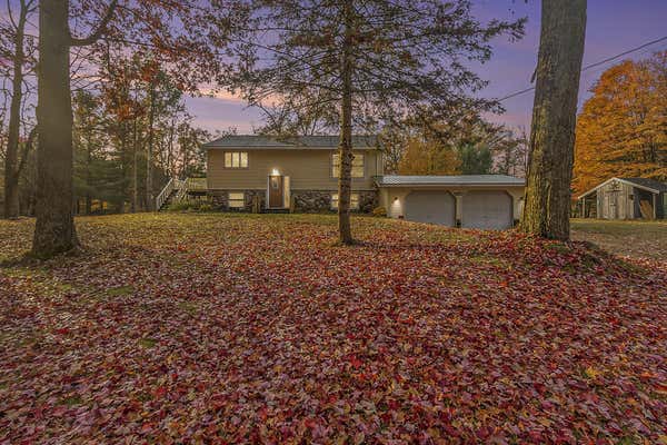 590 W MARION ST, WHITE CLOUD, MI 49349 - Image 1