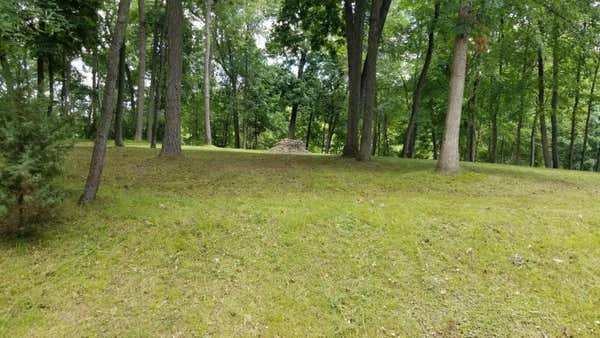 0 LAKE BLUFF DRIVE, GRASS LAKE, MI 49240 - Image 1