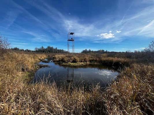 VL TWIN CREEK ROAD, LUTHER, MI 49656 - Image 1