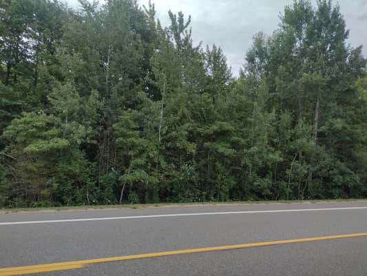 000 BLUE STAR HIGHWAY, FENNVILLE, MI 49408 - Image 1