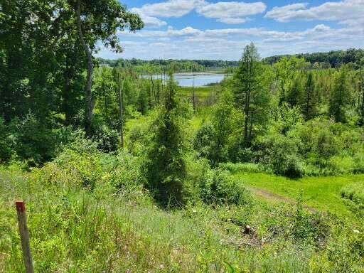 5464 CLEAR LAKE RD, GRASS LAKE, MI 49240 - Image 1