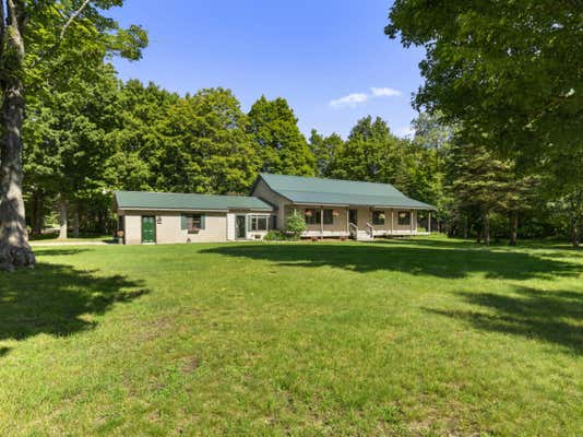 8880 CADILLAC HWY, BENZONIA, MI 49616 - Image 1