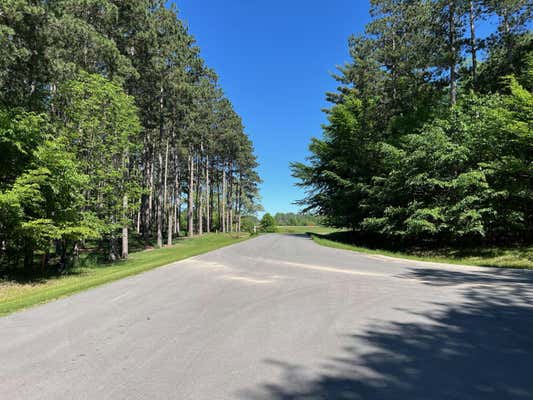 LOT 17 AUSTRIAN DRIVE, GRANT, MI 49327 - Image 1