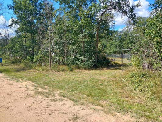 60 E HUSTON, IDLEWILD, MI 49642 - Image 1