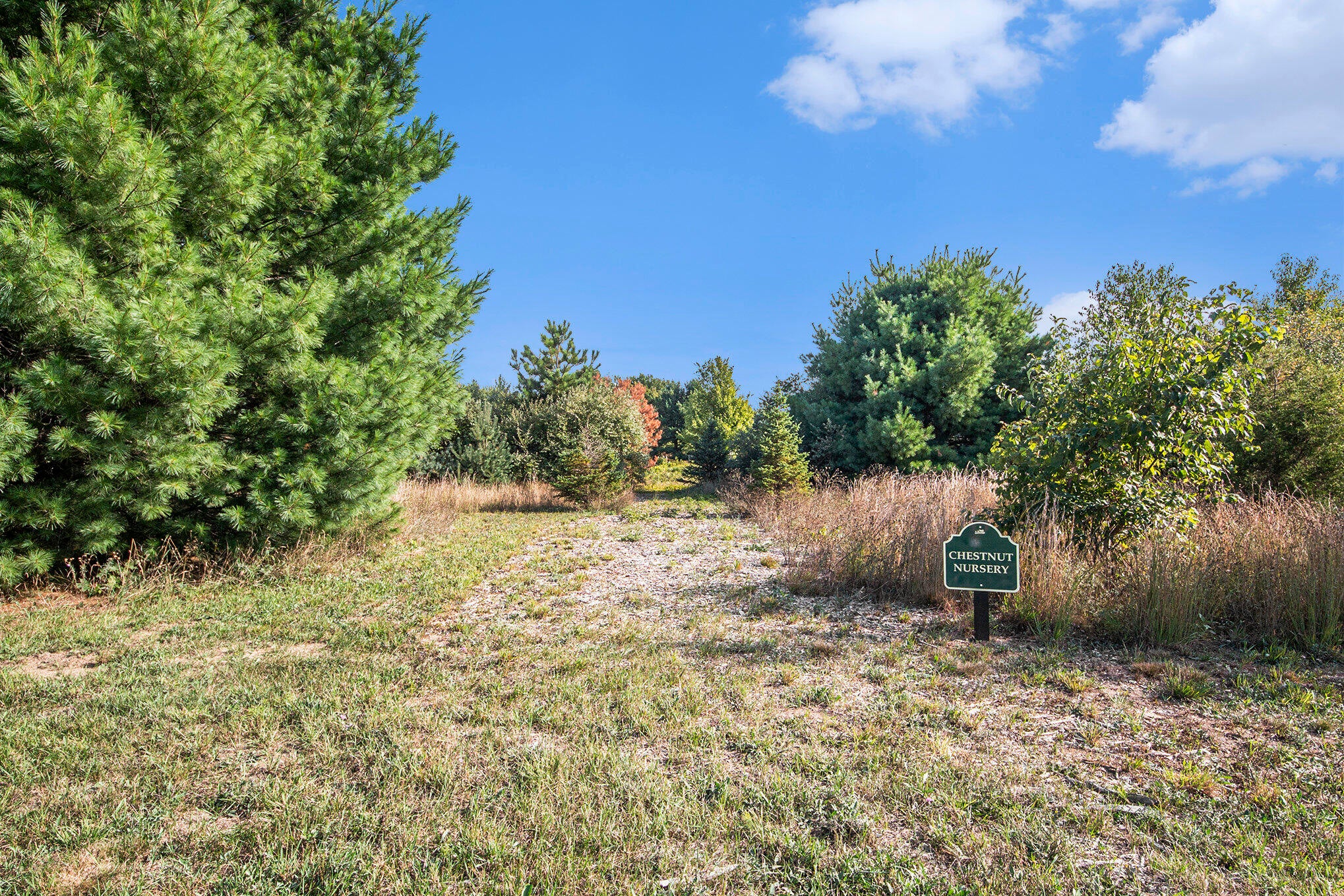 Fennville, Michigan, 49408, United States, 4 Bedrooms Bedrooms, ,4 BathroomsBathrooms,Residential,Active,1964494