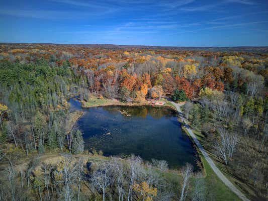 100 E ADAMS RD, FARWELL, MI 48622, photo 3 of 48