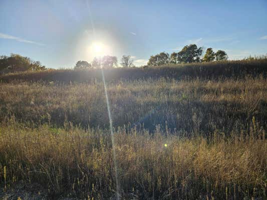 CALMING MEADOWS COURT LOT 3, MIDDLEVILLE, MI 49333 - Image 1