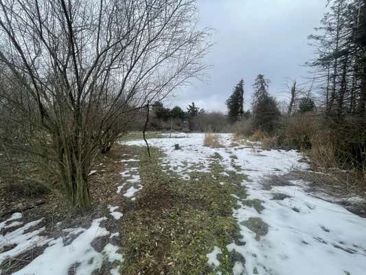 V/L 10A E TOWNLINE ROAD, FREE SOIL, MI 49411 - Image 1