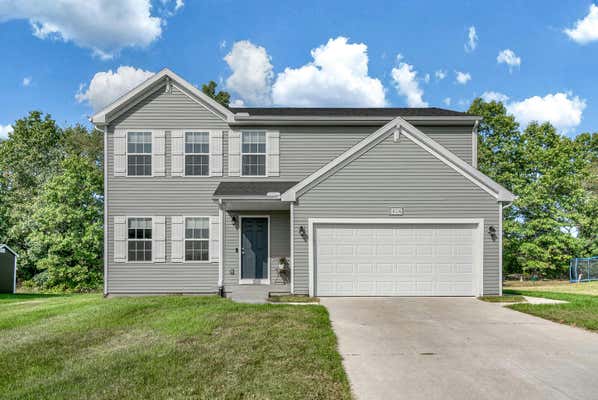 58536 BLUE STEM CIR, MATTAWAN, MI 49071 - Image 1