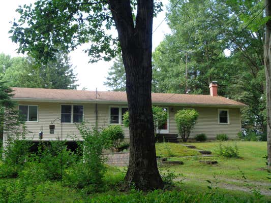 3770 STRAWBERRY HILL RD, HILLSDALE, MI 49242 - Image 1