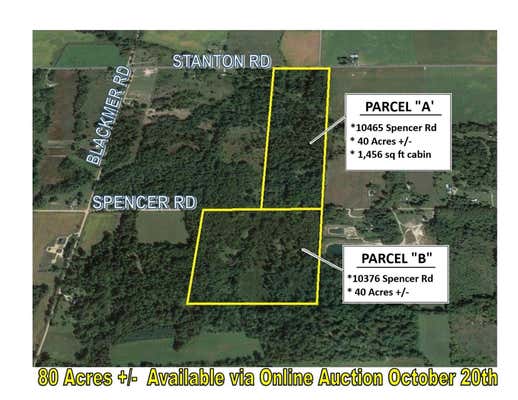 10465 E SPENCER RD # PARCEL, CRYSTAL, MI 48818 - Image 1