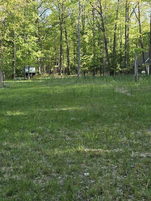 LOT 4,5,16 RIDGE ROAD, MEARS, MI 49436 - Image 1