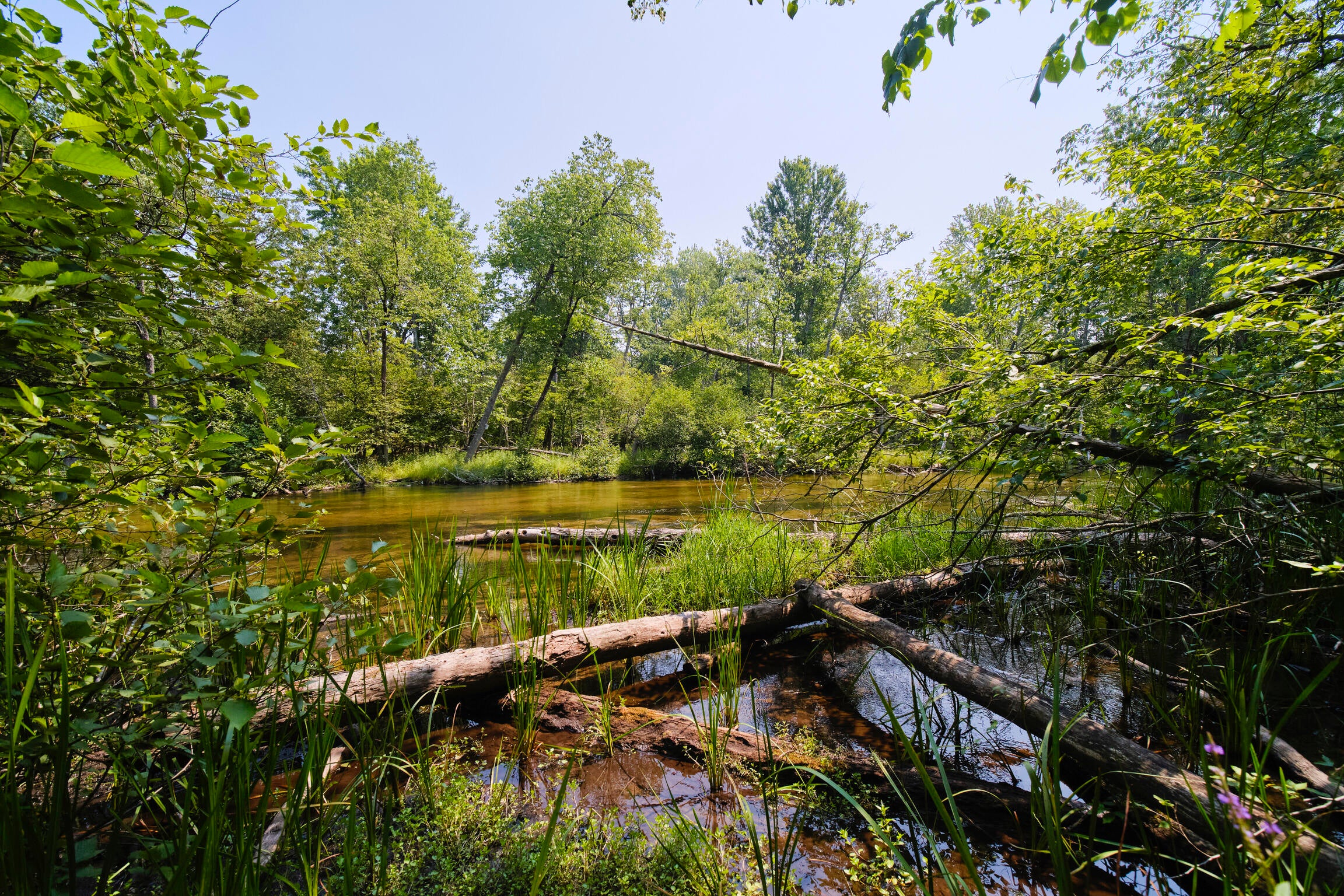 Manistee, Michigan, 49660, United States, 4 Bedrooms Bedrooms, ,4 BathroomsBathrooms,Residential,Active,1913051
