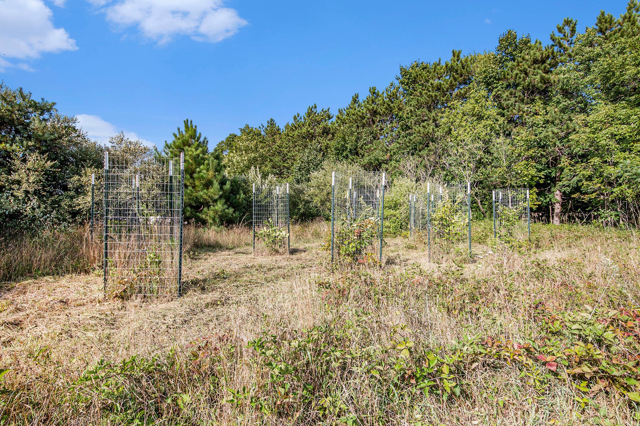 Fennville, Michigan, 49408, United States, 4 Bedrooms Bedrooms, ,4 BathroomsBathrooms,Residential,Active,1964494