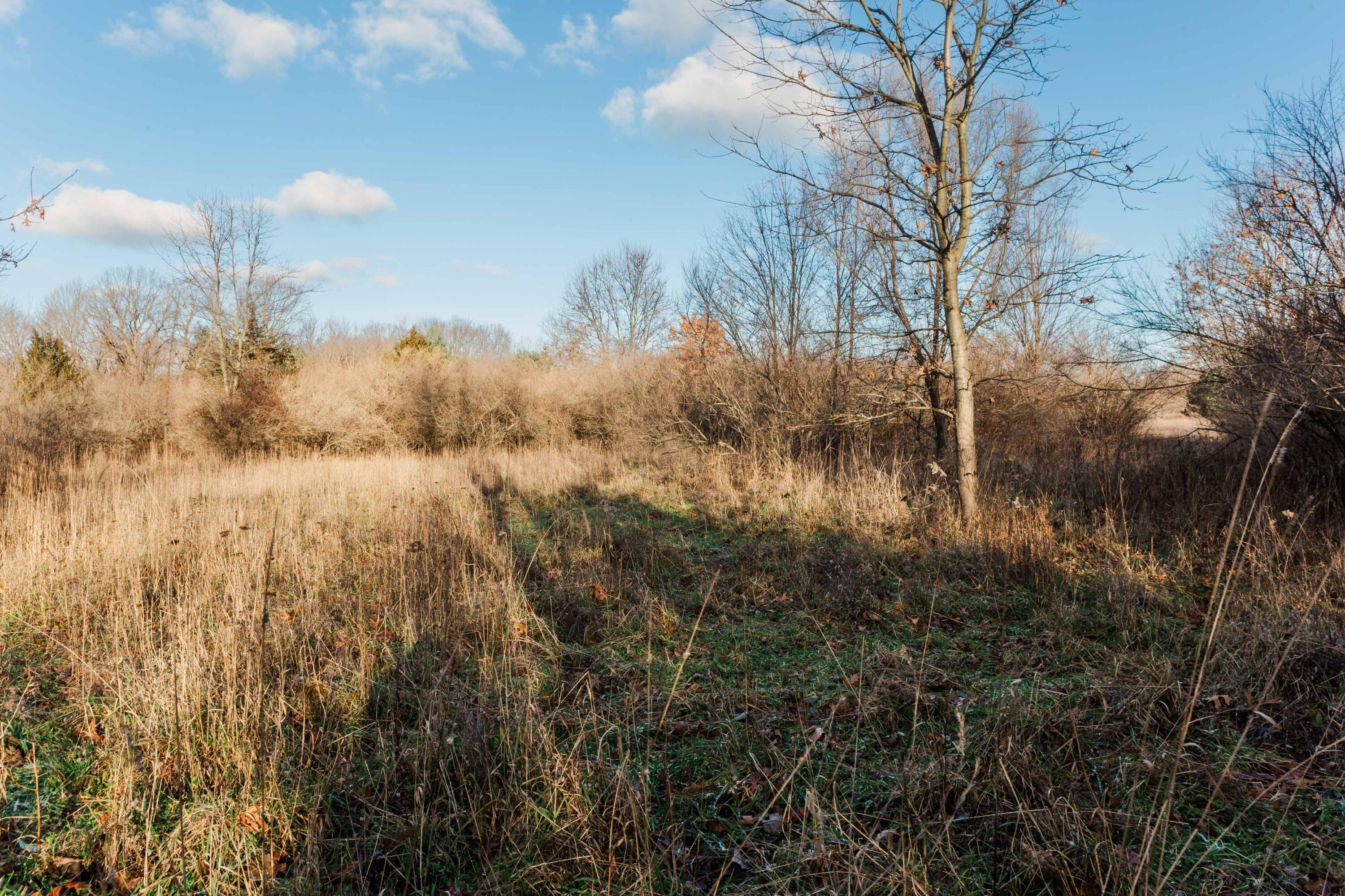 Saugatuck, Michigan, 49453, United States, ,5 BathroomsBathrooms,Residential,Pending,1769548