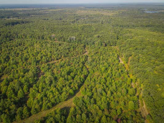 V/L E 16 MILE - C ROAD, BITELY, MI 49309 - Image 1