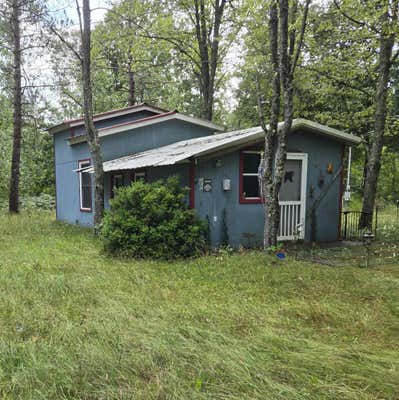 8466 W 16 MILE RD, BITELY, MI 49309 - Image 1