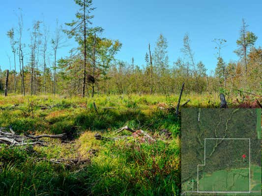 22758 S CHUB CREEK RD LOT 6, RUDYARD, MI 49780 - Image 1