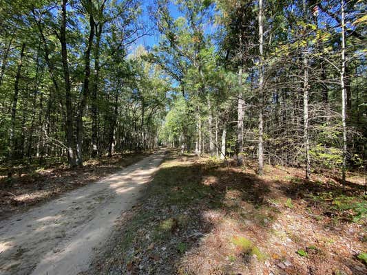 S CLAY, LOT 19, NEWAYGO, MI 49337 - Image 1