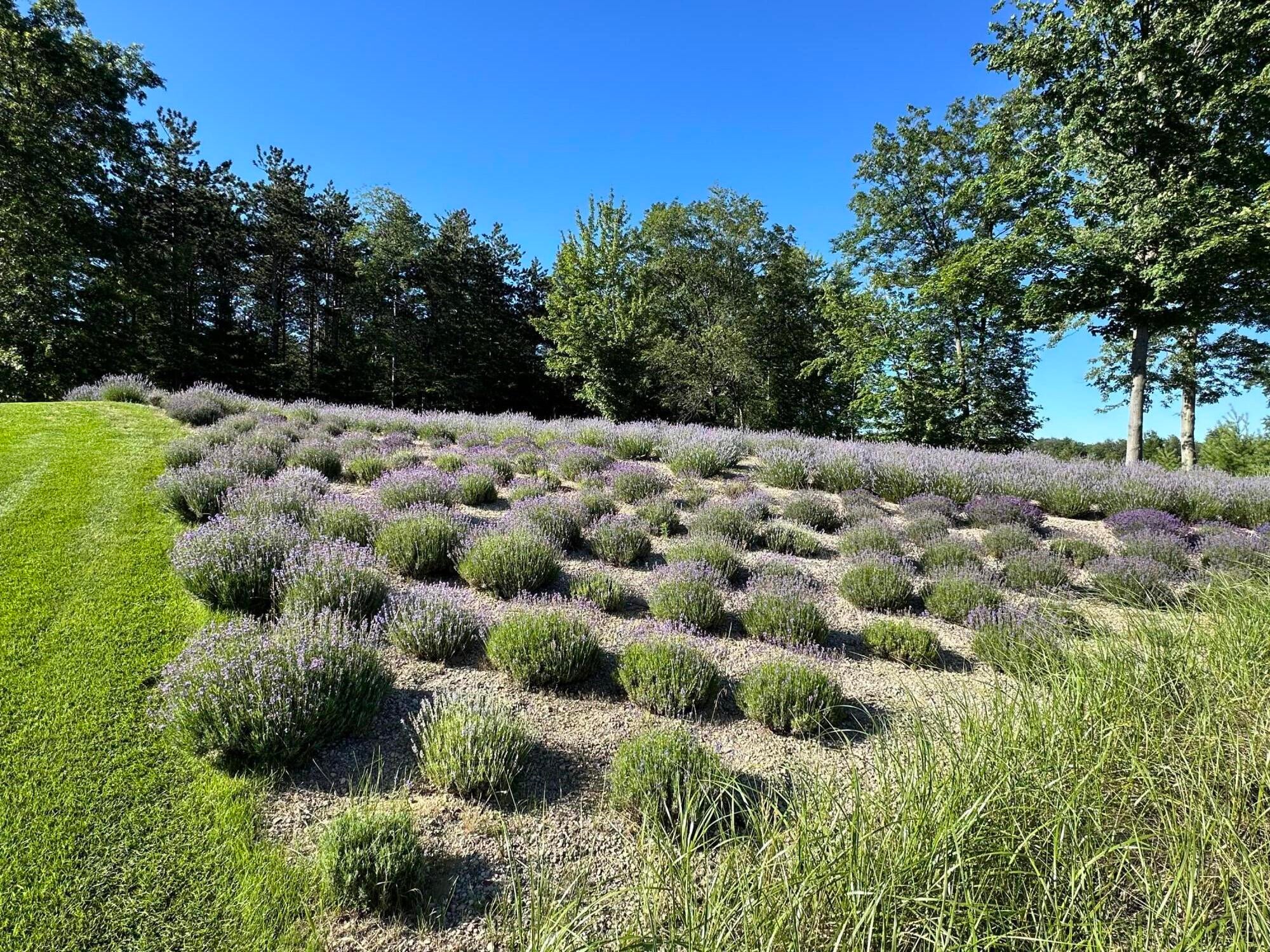 West Olive, Michigan, 49460, United States, 4 Bedrooms Bedrooms, ,4 BathroomsBathrooms,Residential,Active,2001073