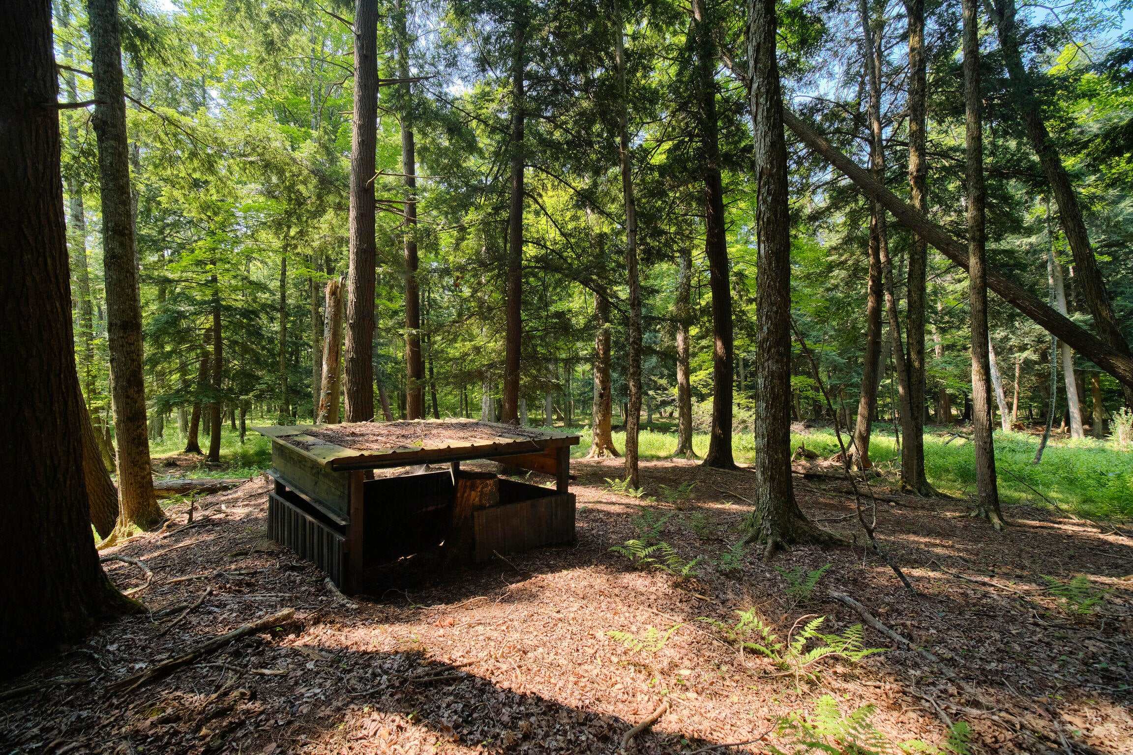 Manistee, Michigan, 49660, United States, 4 Bedrooms Bedrooms, ,4 BathroomsBathrooms,Residential,Active,1913051