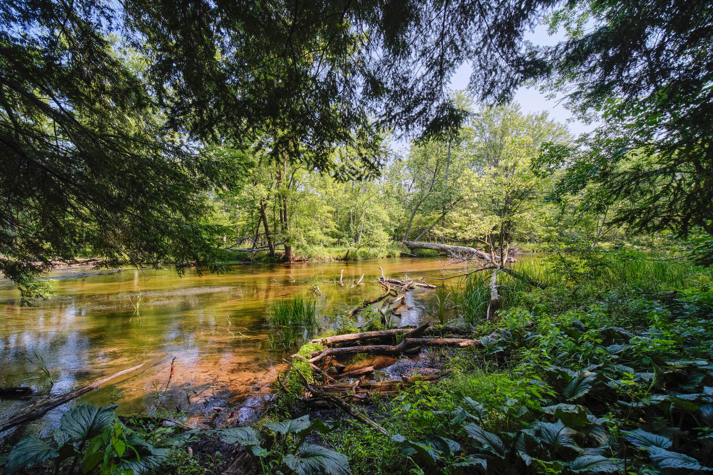 Manistee, Michigan, 49660, United States, 4 Bedrooms Bedrooms, ,4 BathroomsBathrooms,Residential,Active,1913051