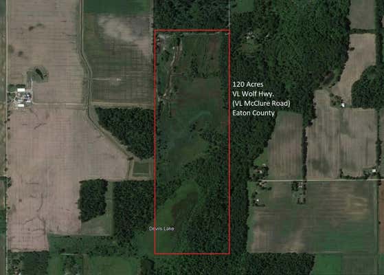 VL MCCLURE RD - WOLF HWY., EATON RAPIDS, MI 48827 - Image 1