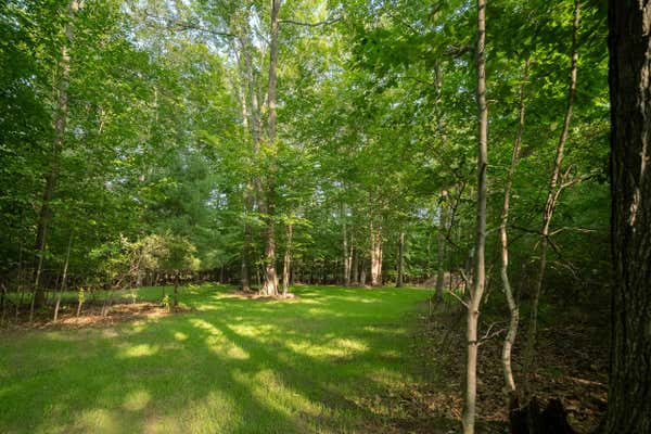 EMERALD RIDGE TRAIL, 4 & 5, ONEKAMA, MI 49675 - Image 1