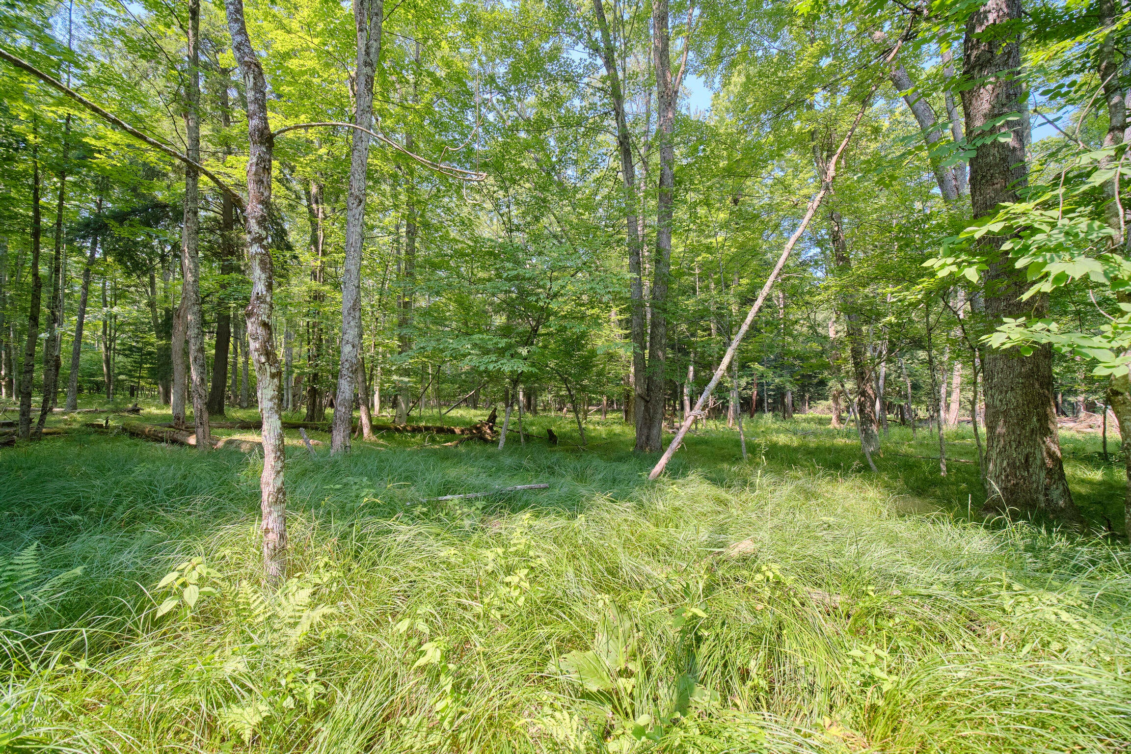 Manistee, Michigan, 49660, United States, 4 Bedrooms Bedrooms, ,4 BathroomsBathrooms,Residential,Active,1913051