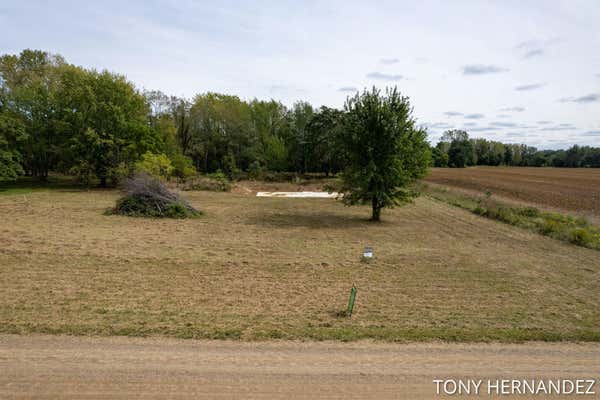 VACANT LAND 65TH, FENNVILLE, MI 49408 - Image 1