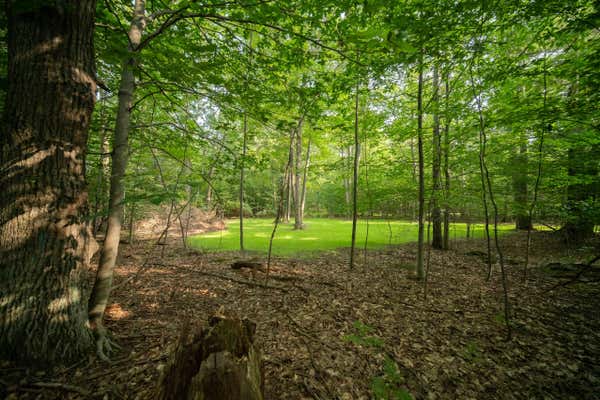 EMERALD RIDGE TRAIL, 3, ONEKAMA, MI 49675 - Image 1