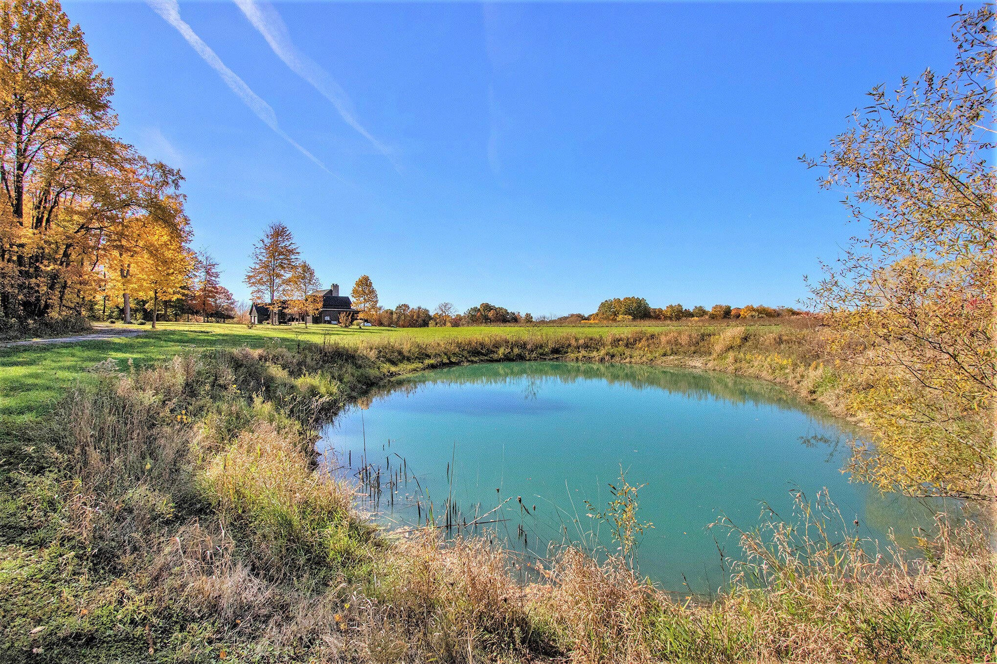 Berrien Springs, Michigan, 49103, United States, ,5 BathroomsBathrooms,Residential,Active,1849497