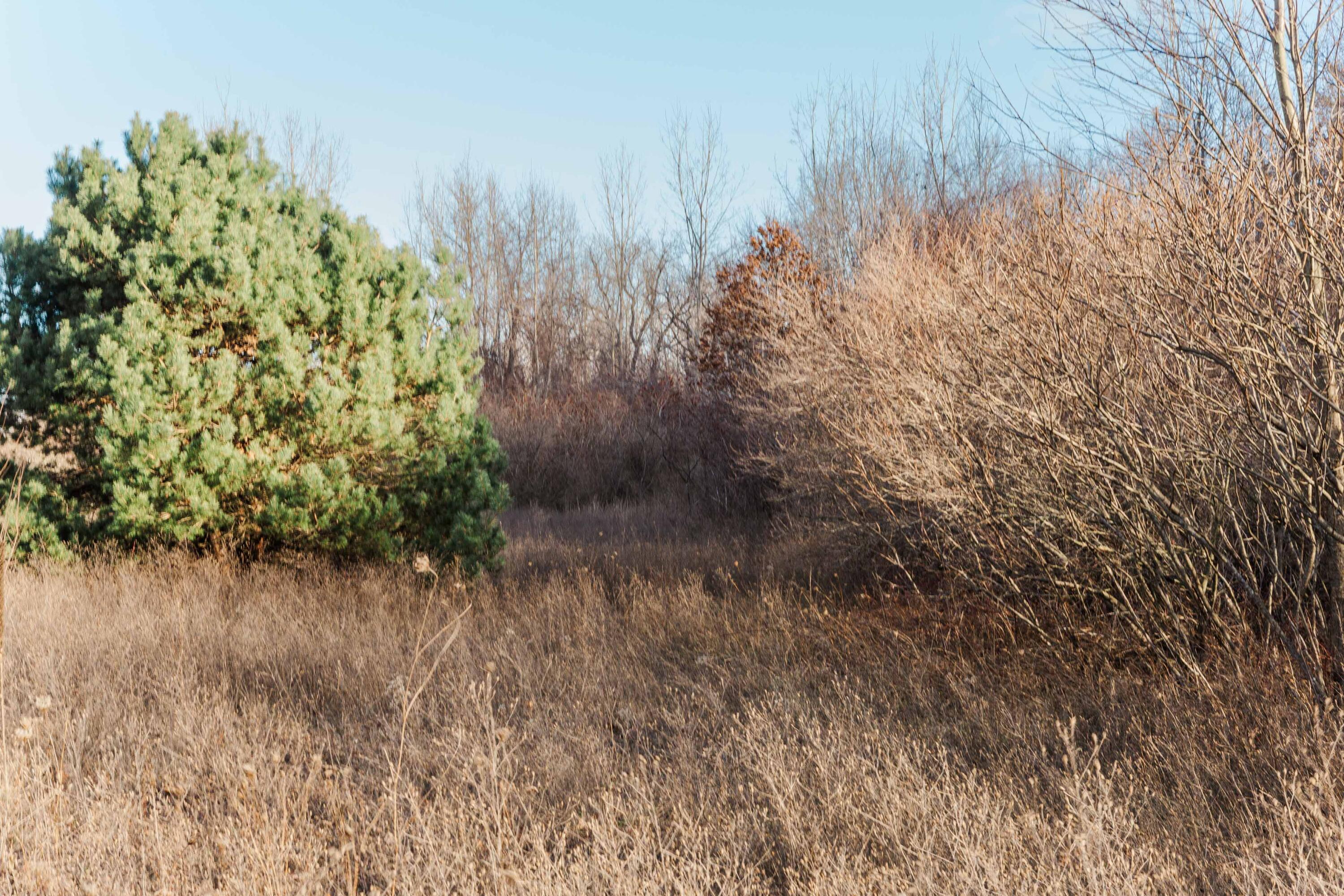 Saugatuck, Michigan, 49453, United States, ,5 BathroomsBathrooms,Residential,Pending,1769548