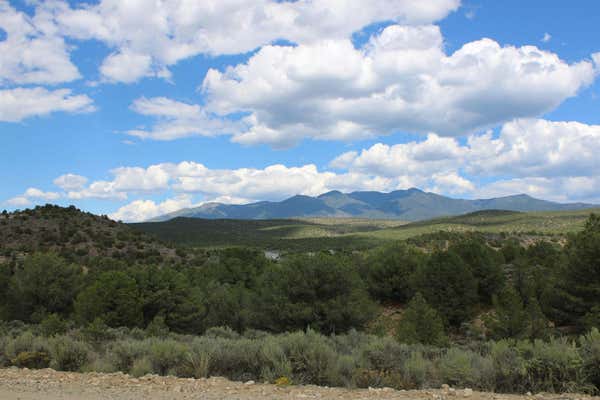 TRACT 11 TREMENTINA, ARROYO HONDO, NM 87513 - Image 1