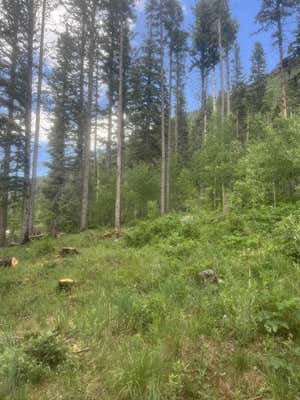 LOT 3A TWINING, TAOS SKI VALLEY, NM 87525, photo 2 of 24