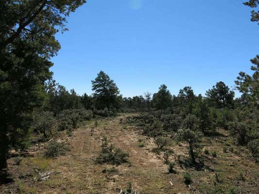 38 SERVILLETA LOT 38, TRES PIEDRAS, NM 87577 - Image 1