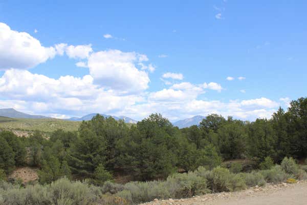 TRACT 12 TREMENTINA ROAD, ARROYO HONDO, NM 87513, photo 3 of 17