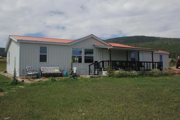 41 DAISY LN, EAGLE NEST, NM 87718 - Image 1