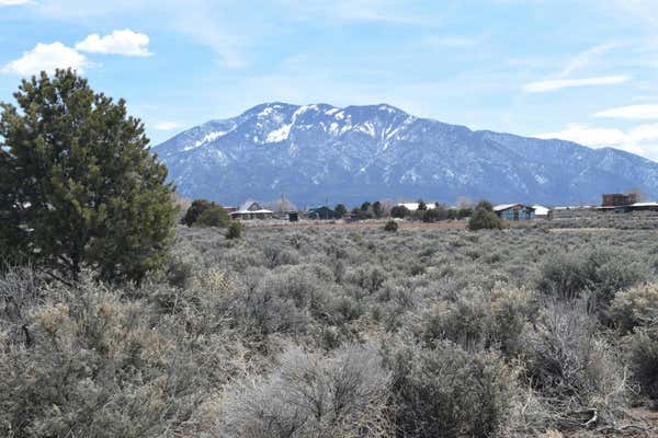 TRACTS B1 B2 B3 ALMAS ROAD, TAOS, NM 87514 - Image 1