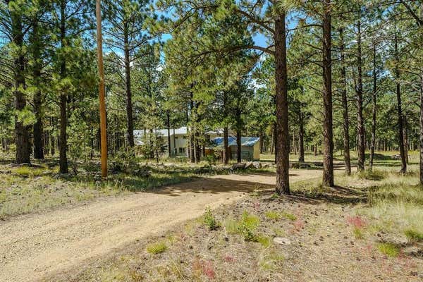 41 SUSAN LN, ANGEL FIRE, NM 87710, photo 3 of 47