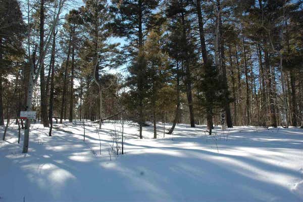 302 SOUTH VAIL OVERLOOK, ANGEL FIRE, NM 87718 - Image 1