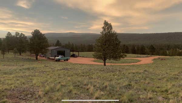 138 HIGHWAY 120, ANGEL FIRE, NM 87710 - Image 1