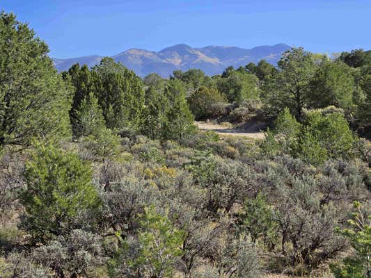 TR B1 TRES LOMAS ROAD, ARROYO HONDO, NM 87513 - Image 1