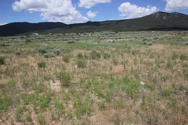 LOTS 9 AND 10 SHIRLEY DRIVE, QUESTA, NM 87556 - Image 1