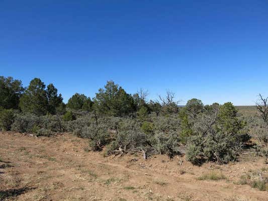 44 SERVILLETA LOT 44, TRES PIEDRAS, NM 87577 - Image 1