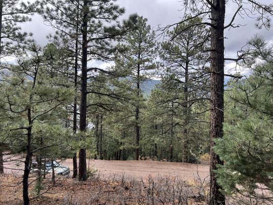 LOT 173 VAIL OVERLOOK, ANGEL FIRE, NM 87710 - Image 1